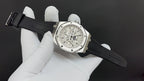Audemars Piguet Watches