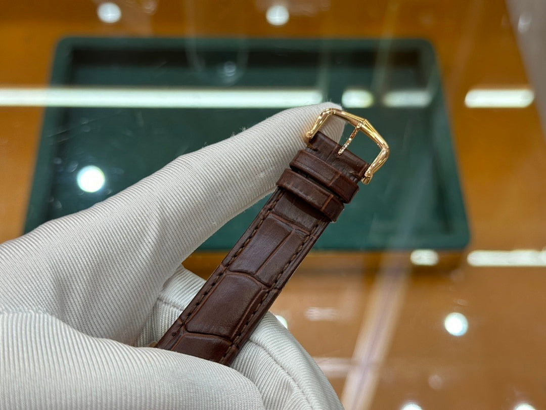 Wristwatch with brown leather strap and gold-tone buckle, side close-up