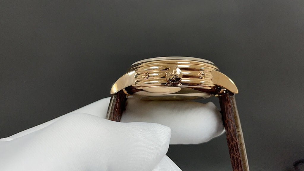 Luxury wristwatch case front view, gold-tone bezel and brown leather strap