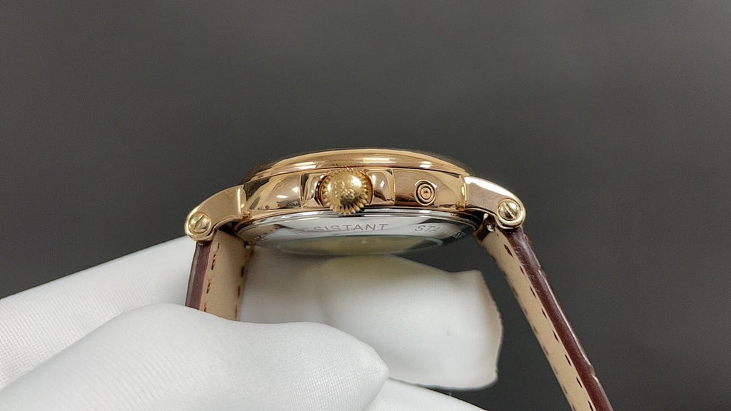 Patek Philippe watch case back with crown side detail, gold tone, dark brown strap