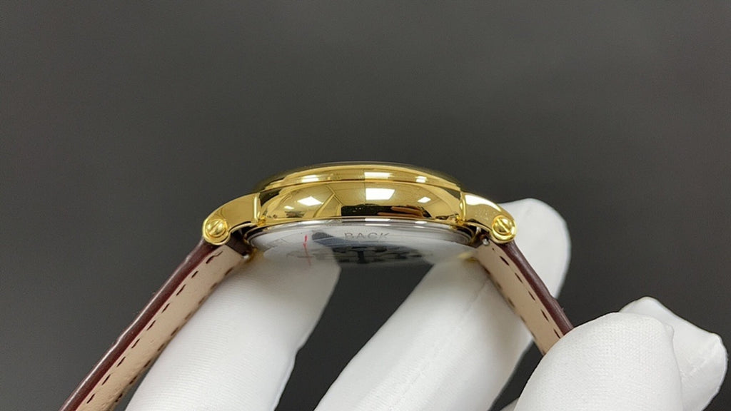 Patek Philippe wristwatch with gold-tone case and brown leather strap, close-up of round case