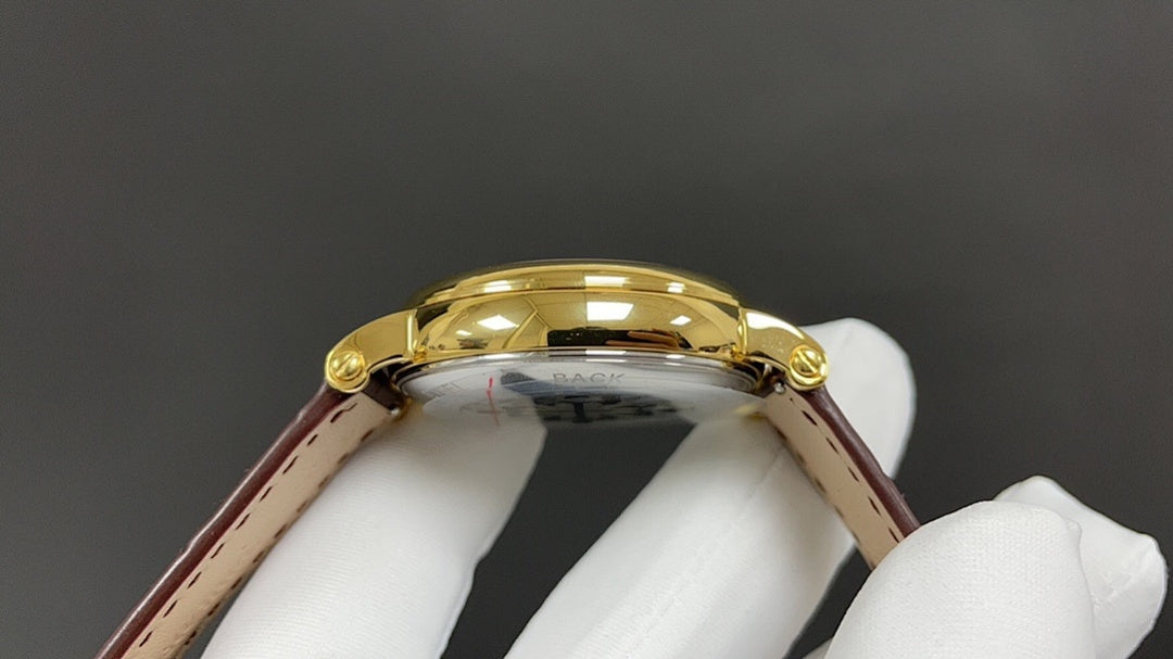 Patek Philippe wristwatch with gold-tone case and brown leather strap, close-up of round case