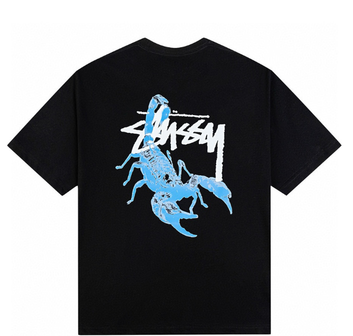 Clothes Stussy