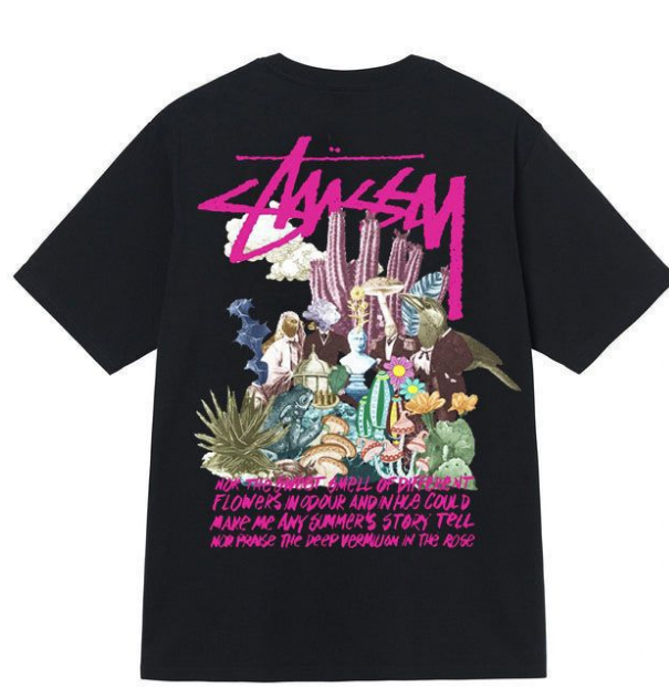 Clothes Stussy