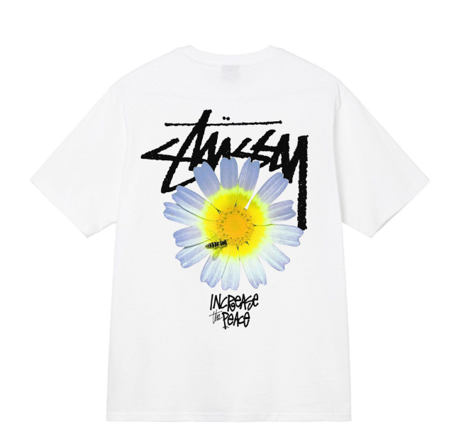 Clothes Stussy