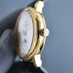 Gold wristwatch side profile with crown detail; leather strap.