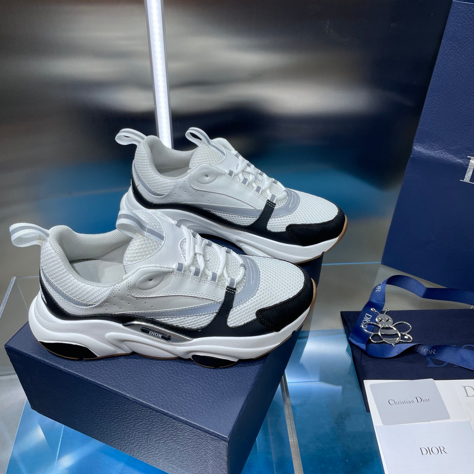 Unisex Dior sneakers pair, white upper with black midsole stripe and textured sole