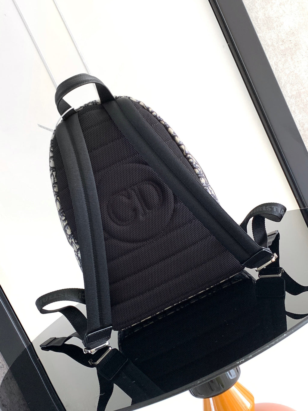 Dior mini backpack rear view with padded back panel and adjustable straps