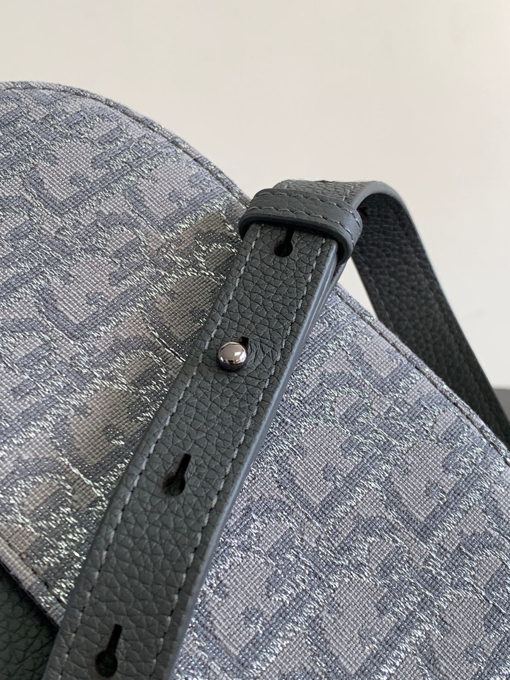 Dior gray patterned bag with black zipper pull and textured strap loops.
