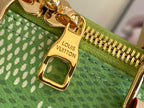 Louis Vuitton green patterned zipper pull with gold hardware and LV logo