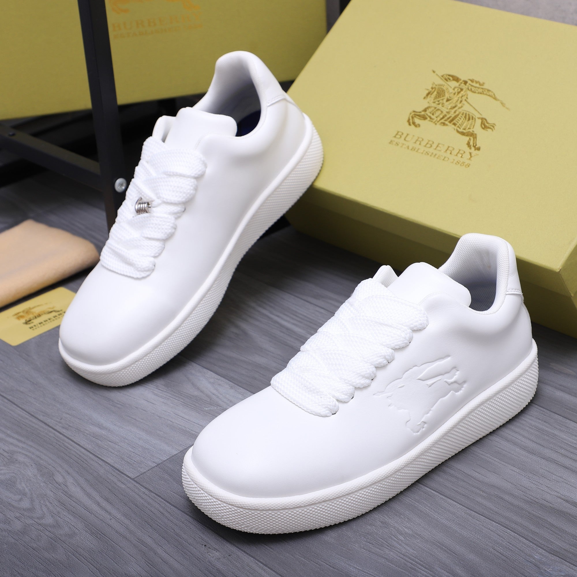 Luxury Shoes Burberry