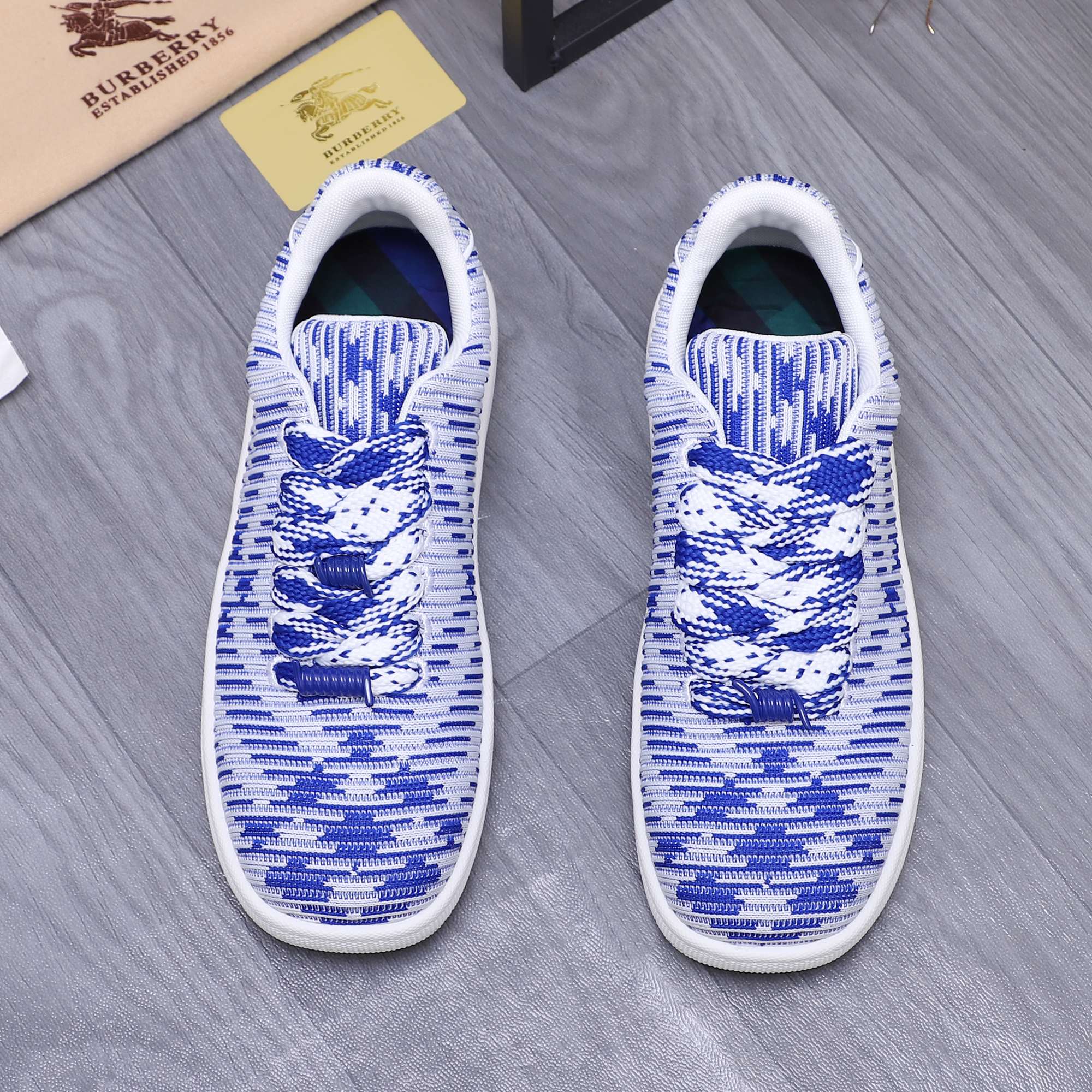 Luxury Shoes Burberry