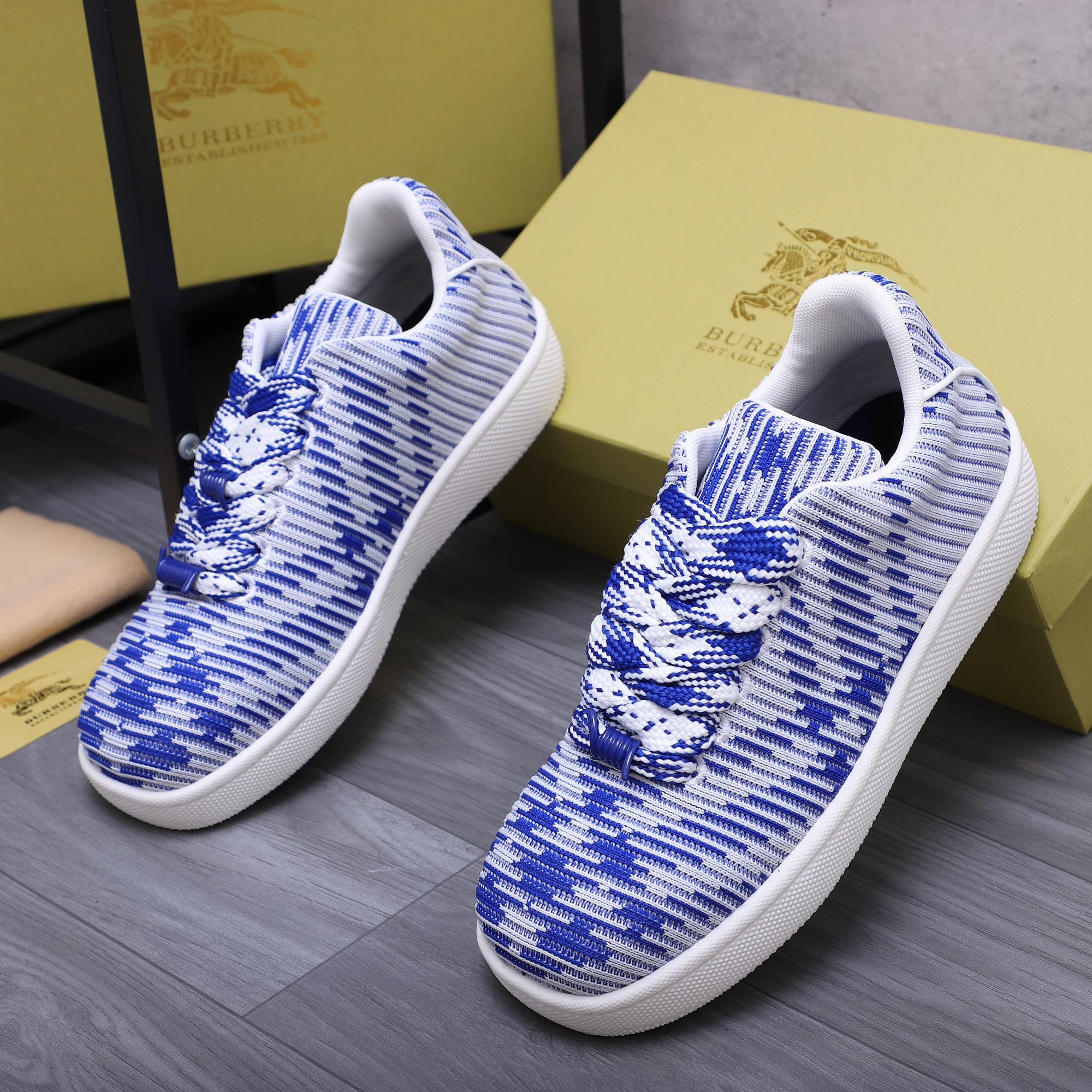 Luxury Shoes Burberry