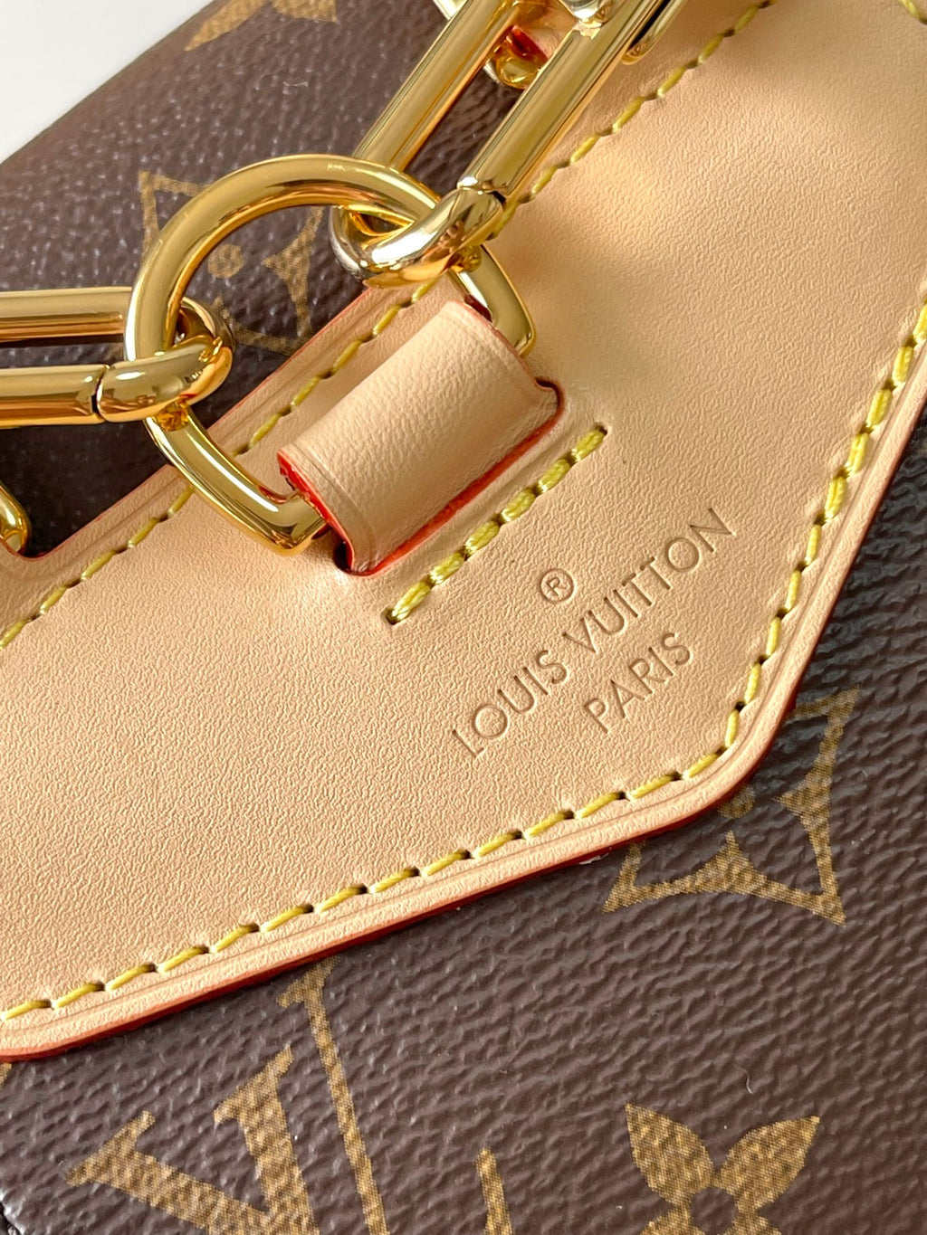 Louis Vuitton monogram bag close-up of gold clasp and tan leather logo patch