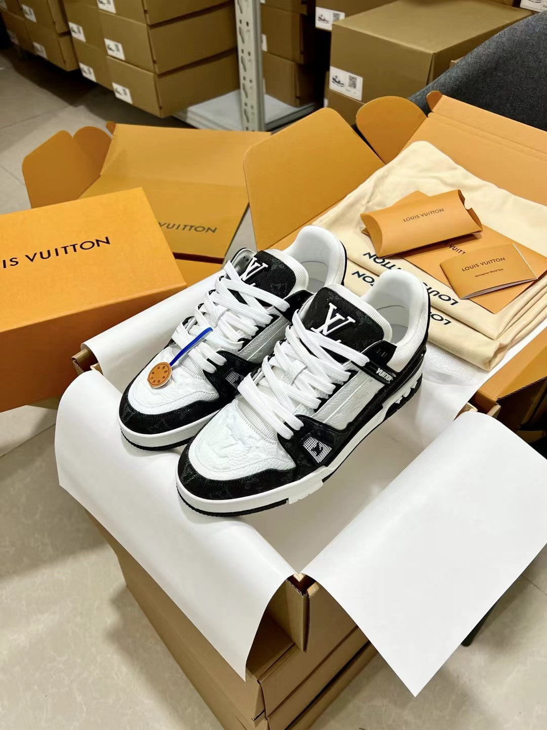 Luxury Shoes Louis Vuitton Trainer