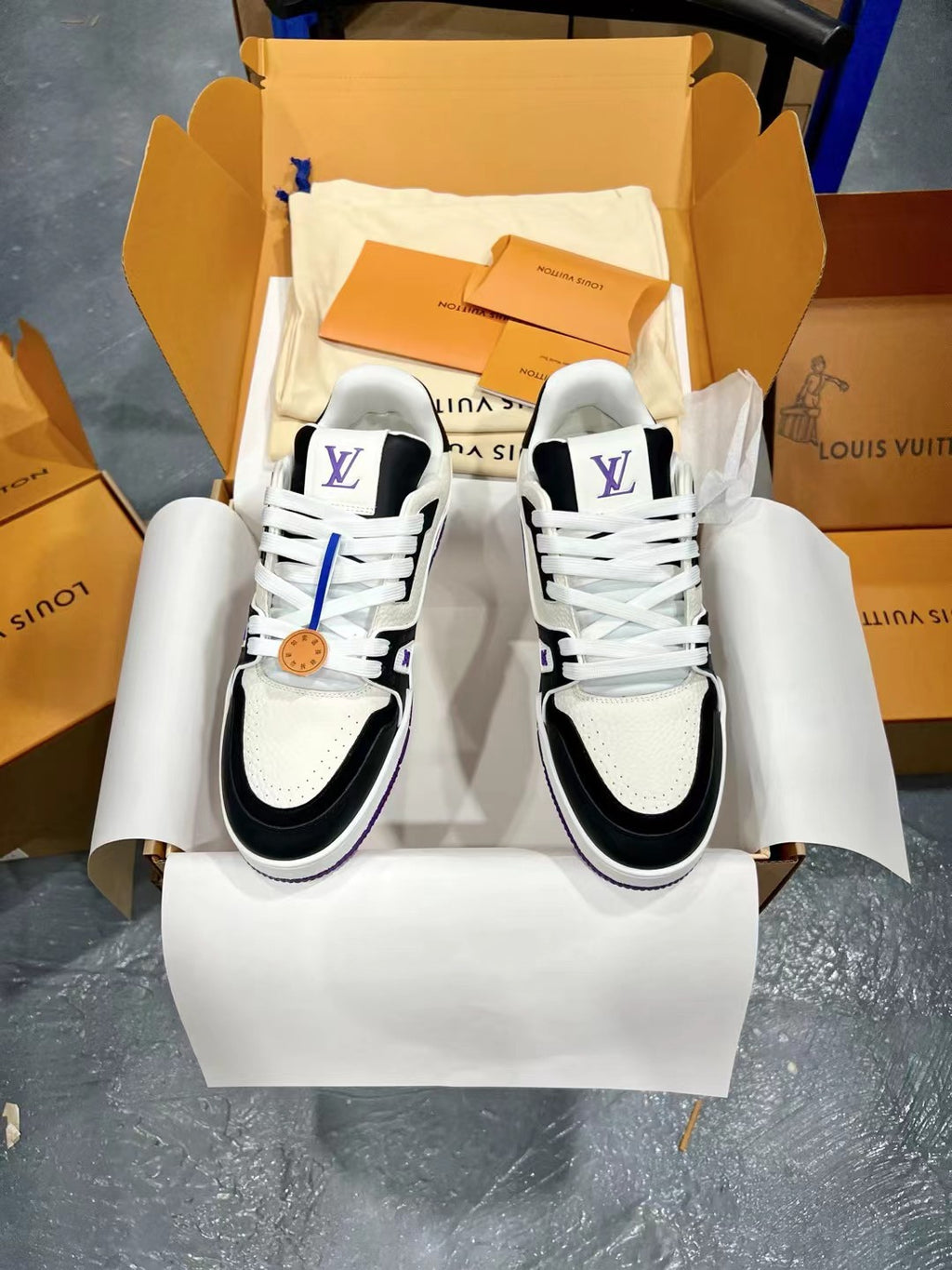 Luxury Shoes Louis Vuitton Trainer