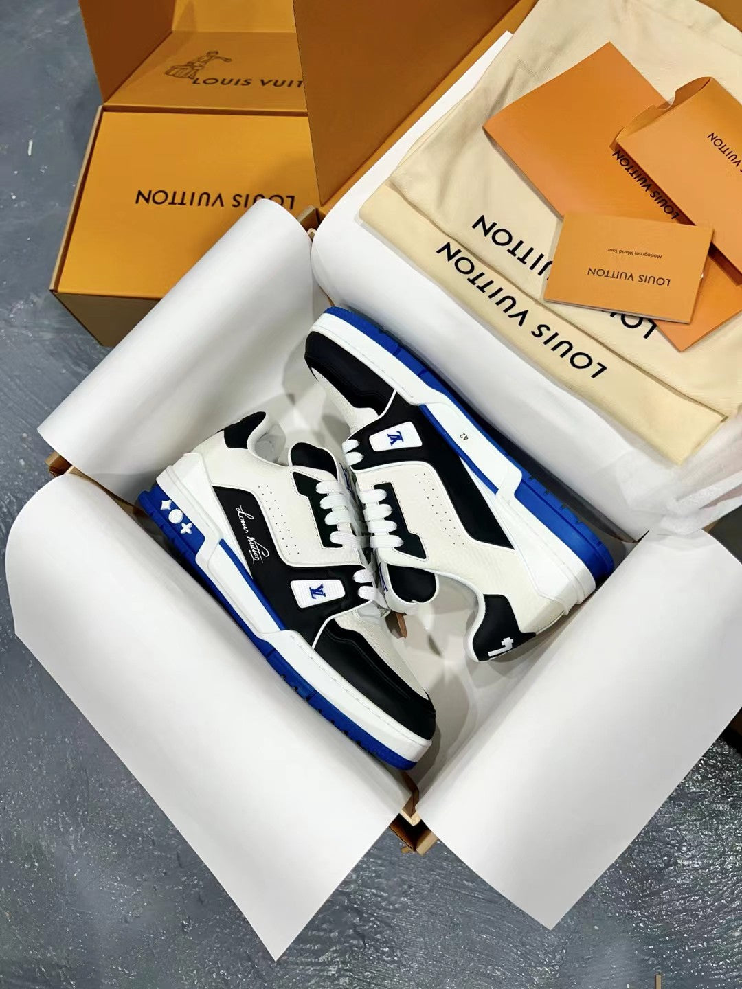 Luxury Shoes Louis Vuitton Trainer