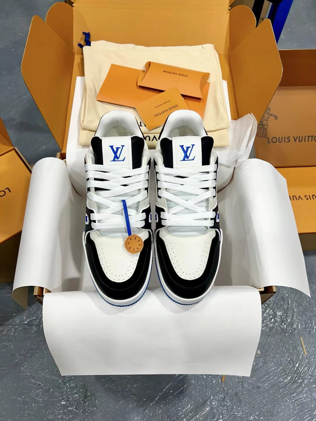 Luxury Shoes Louis Vuitton Trainer
