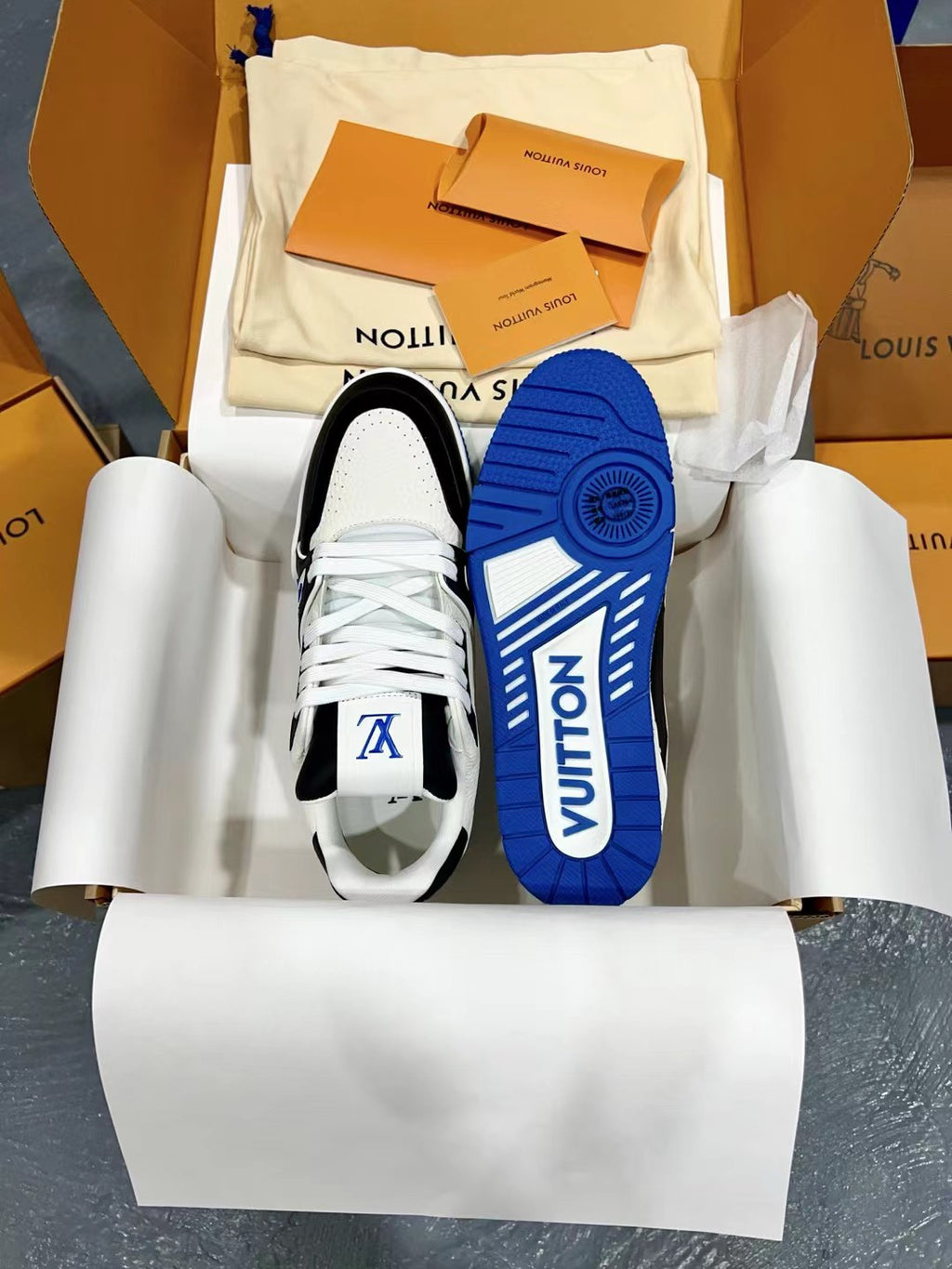 Luxury Shoes Louis Vuitton Trainer