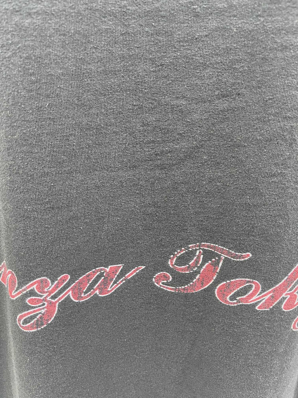 Close-up of dark gray T-shirt hem with red cursive logo text