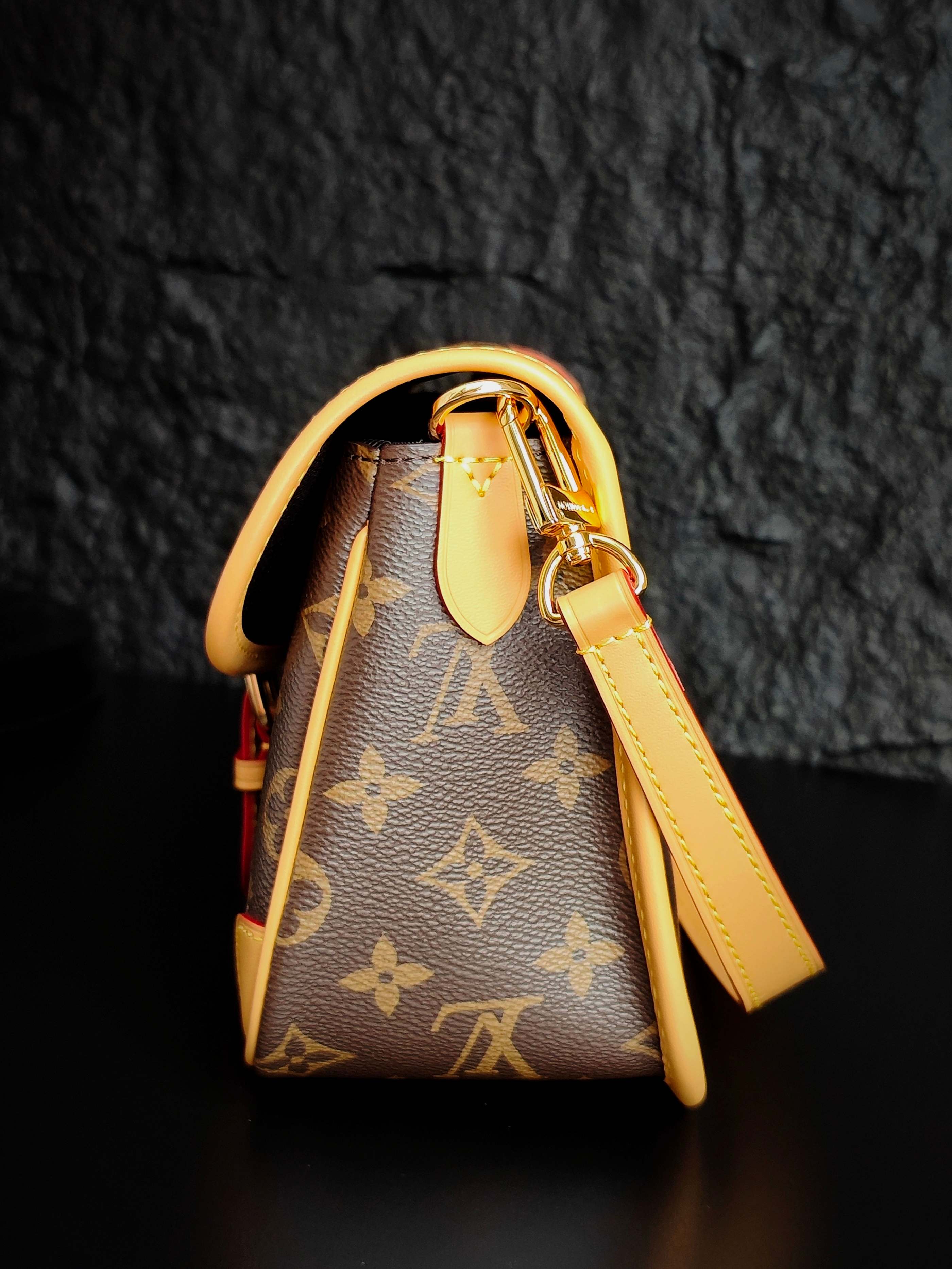 Louis Vuitton Bags