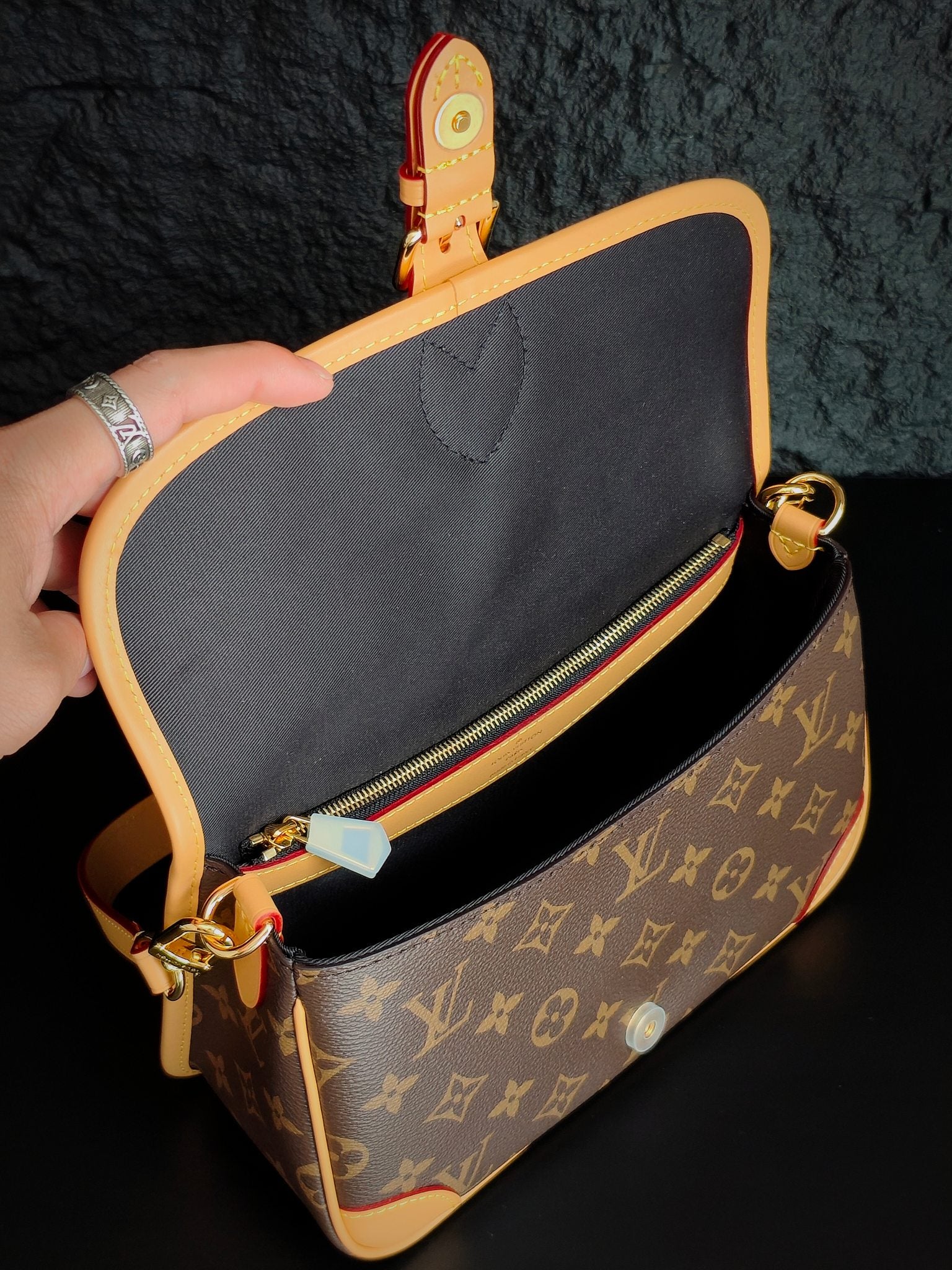 Louis Vuitton Bags