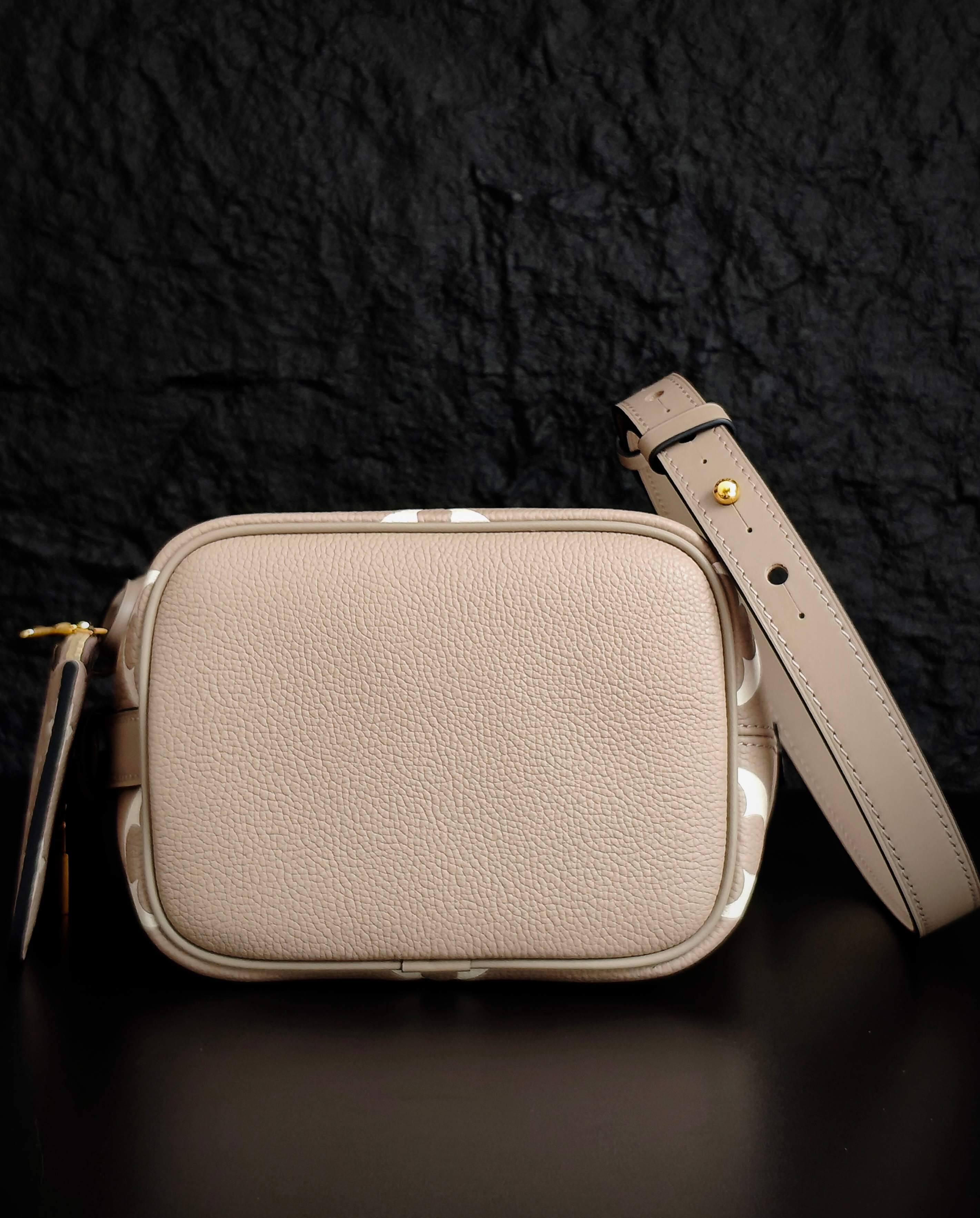 Louis Vuitton small crossbody bag in light beige with rounded flap and adjustable strap