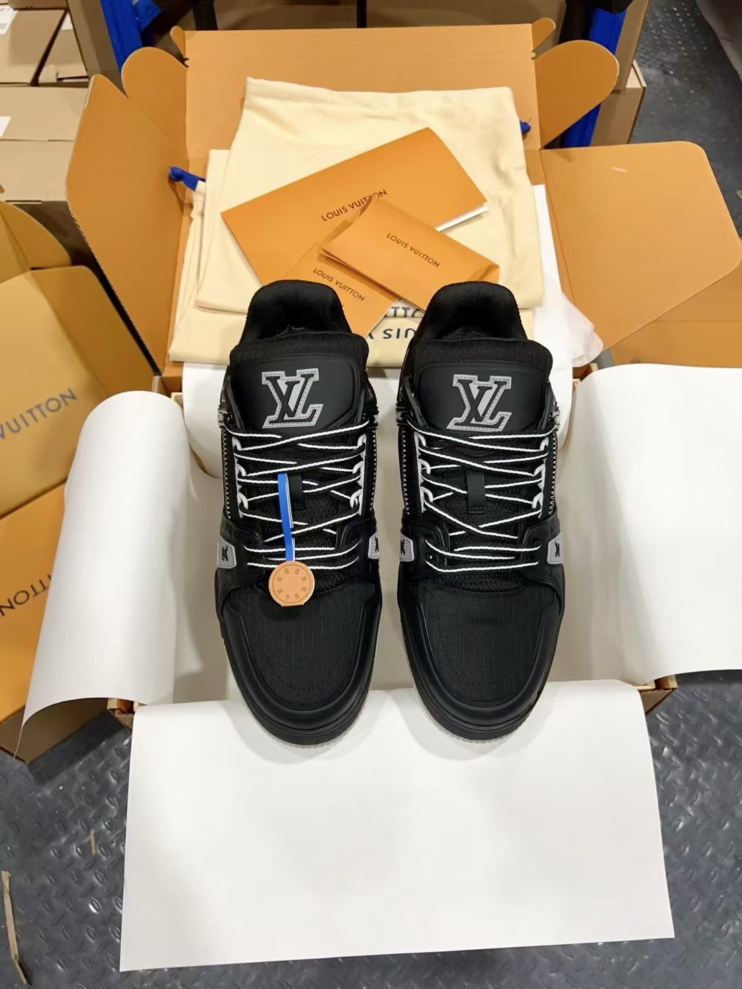 Luxury Shoes Louis Vuitton Trainer