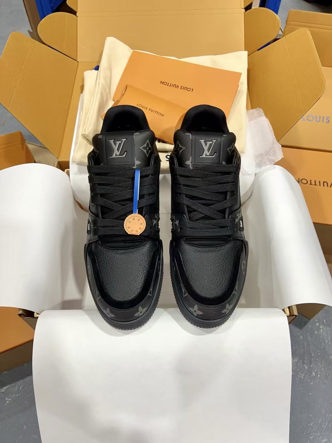 Luxury Shoes Louis Vuitton Trainer