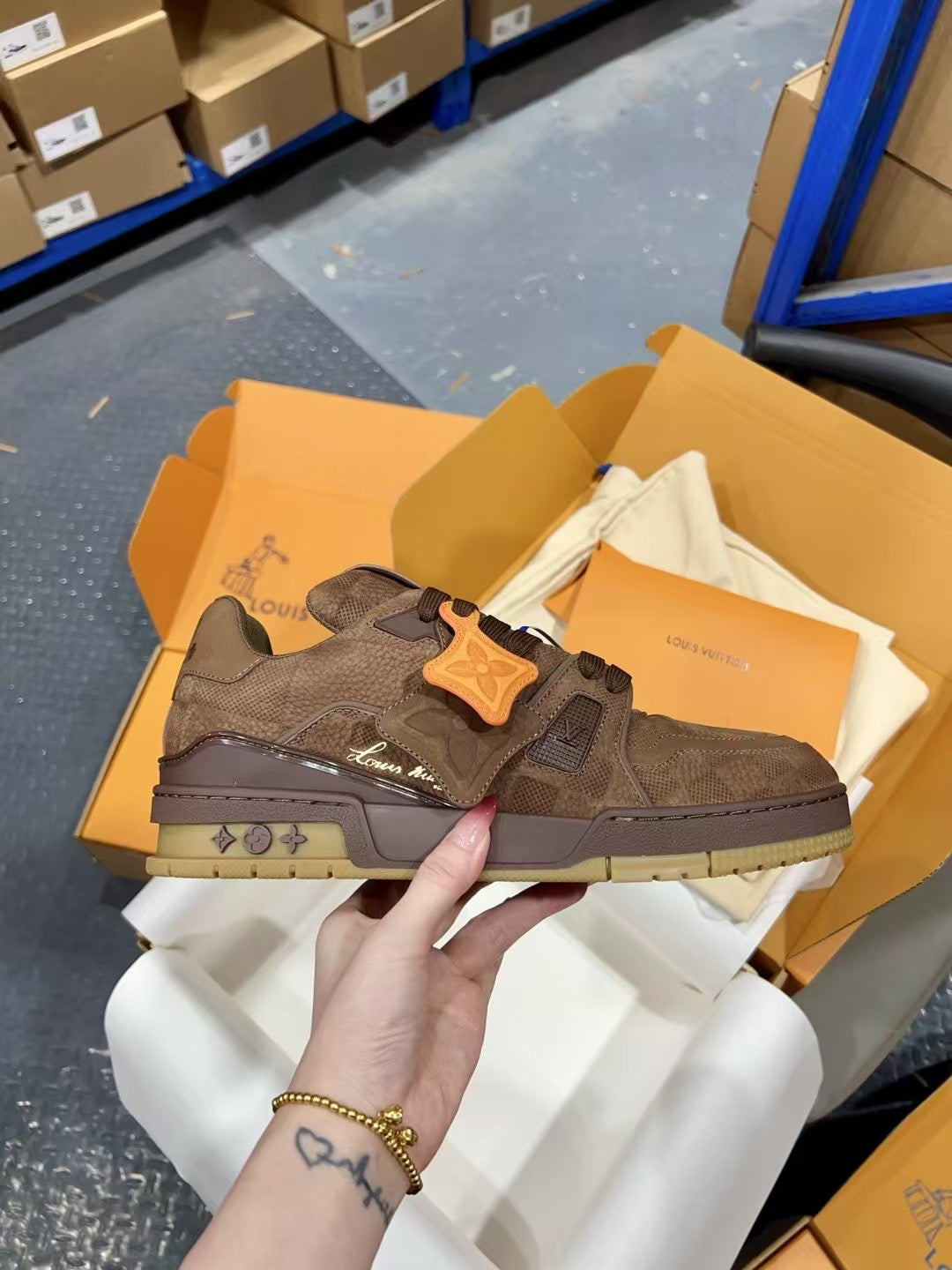 Luxury Shoes Louis Vuitton Trainer