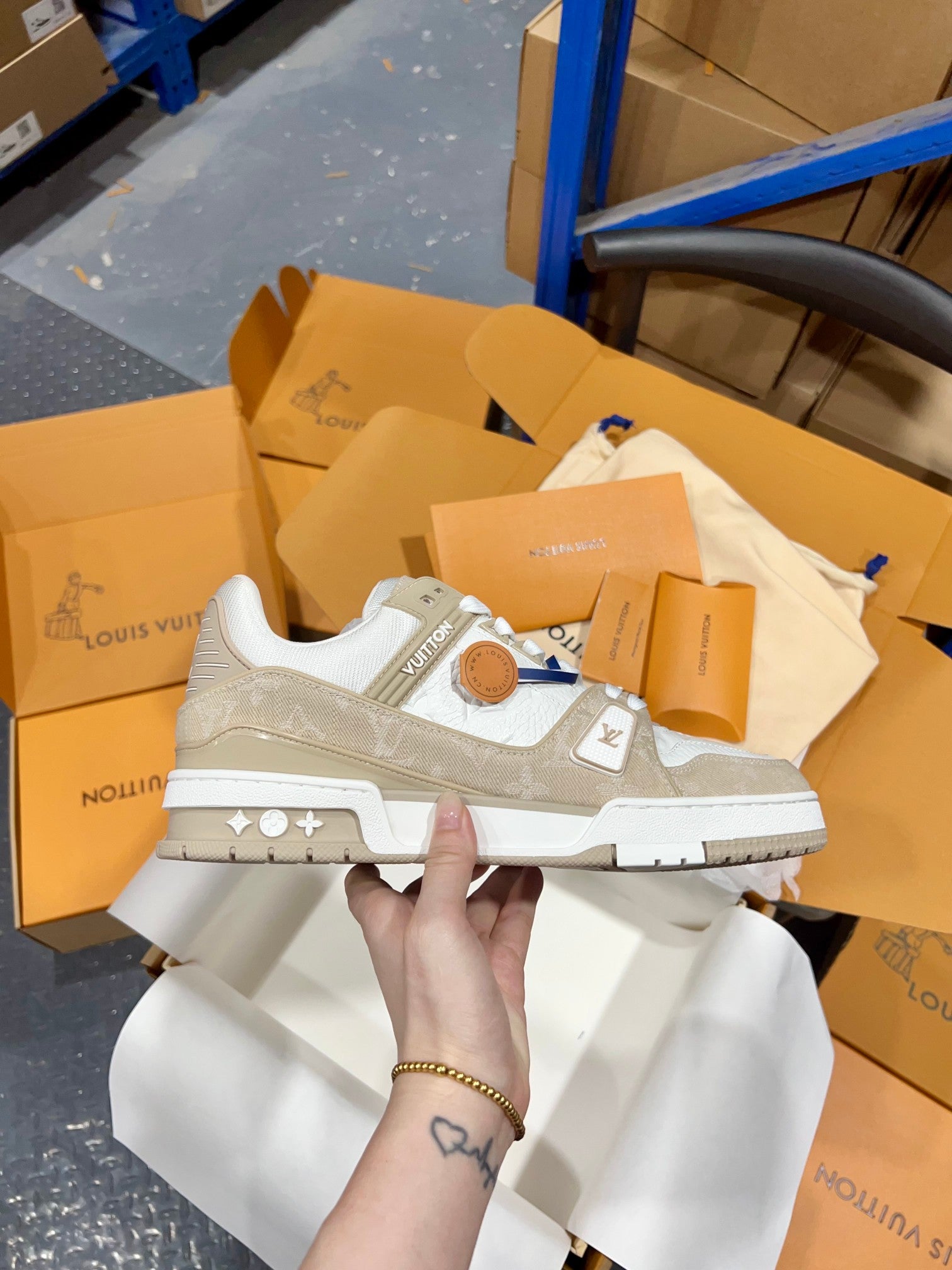 Luxury Shoes Louis Vuitton Trainer