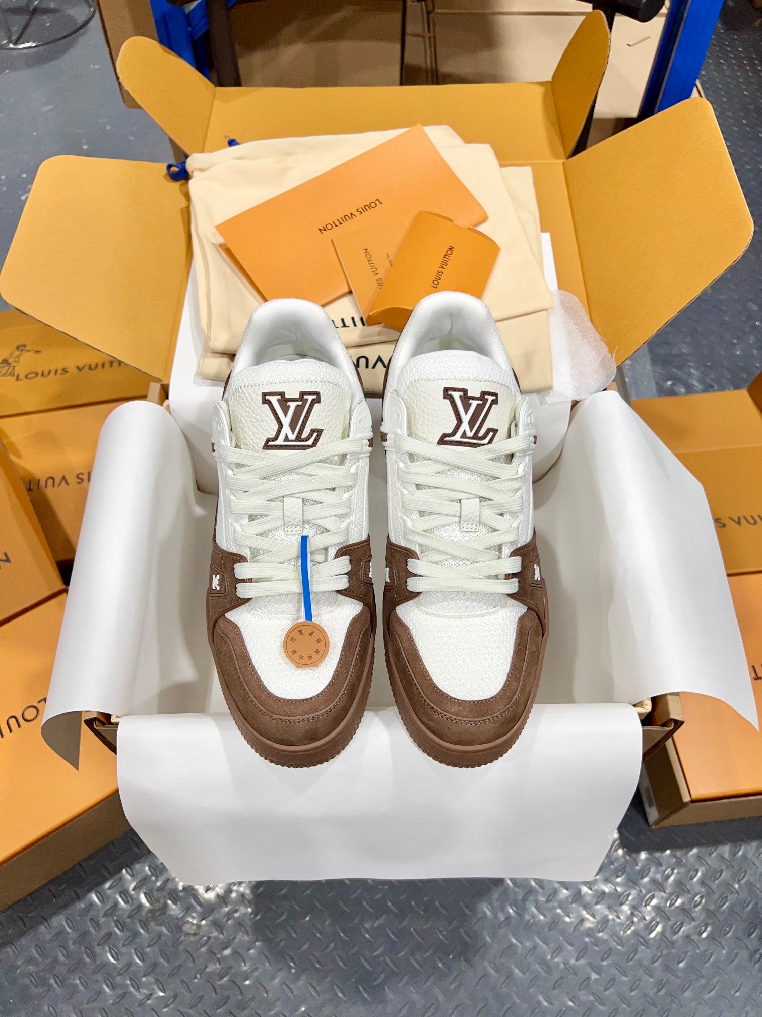 Luxury Shoes Louis Vuitton Trainer