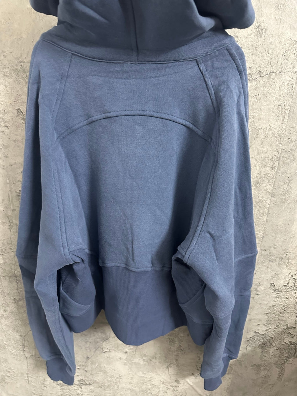 Ralph Lauren blue zip-up hoodie back with hood and stitched panels