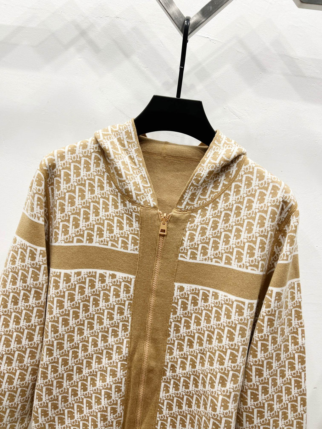 Tan Dior logo hooded zip sweatshirt front close-up with pocket