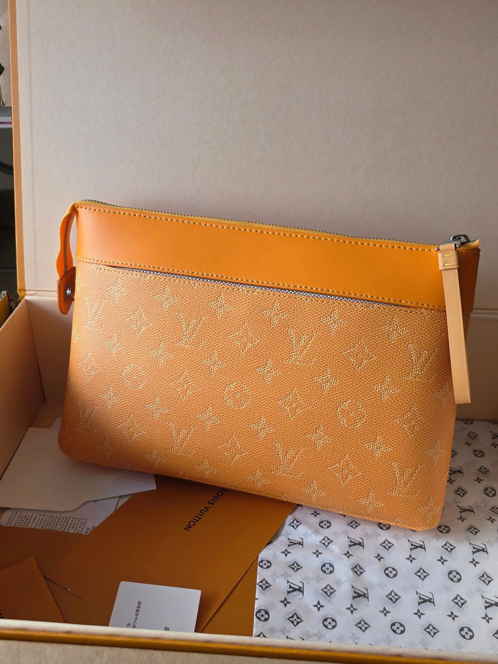 Louis Vuitton Bags