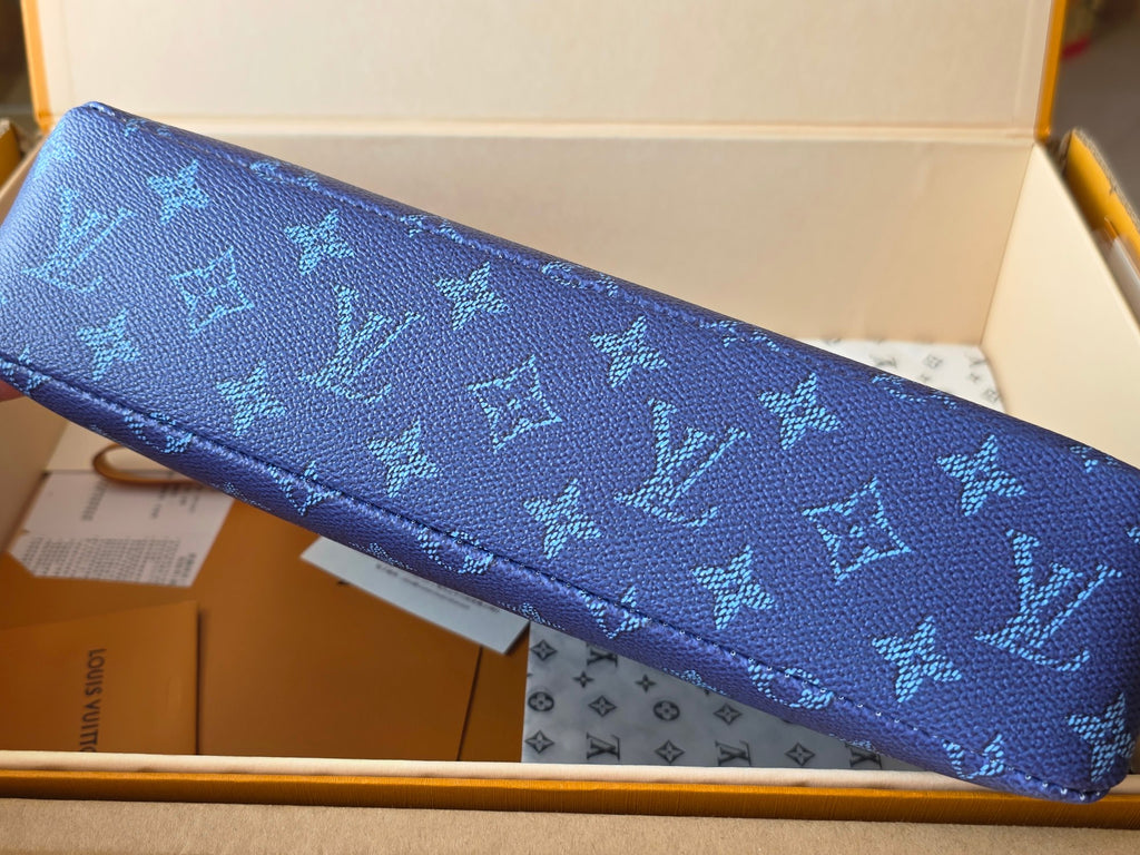 Louis Vuitton Bags
