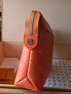Louis Vuitton Bags