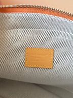 Louis Vuitton Bags