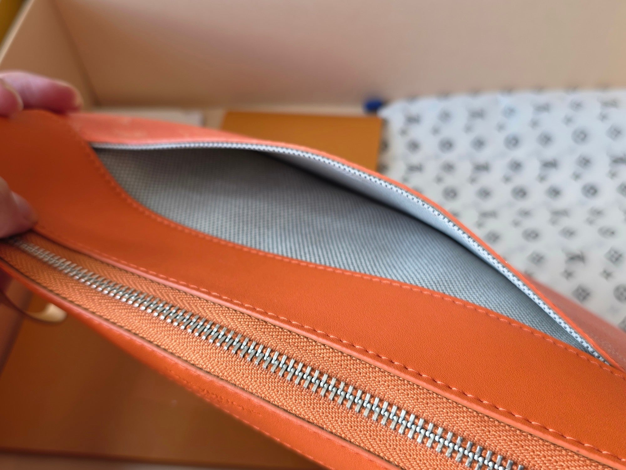 Louis Vuitton Bags