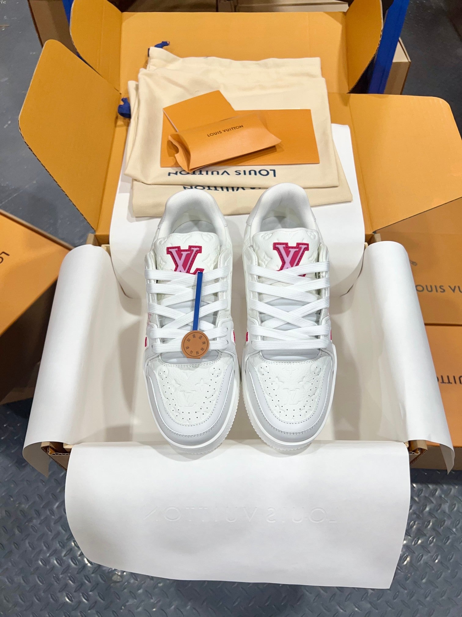 Luxury Shoes Louis Vuitton Trainer