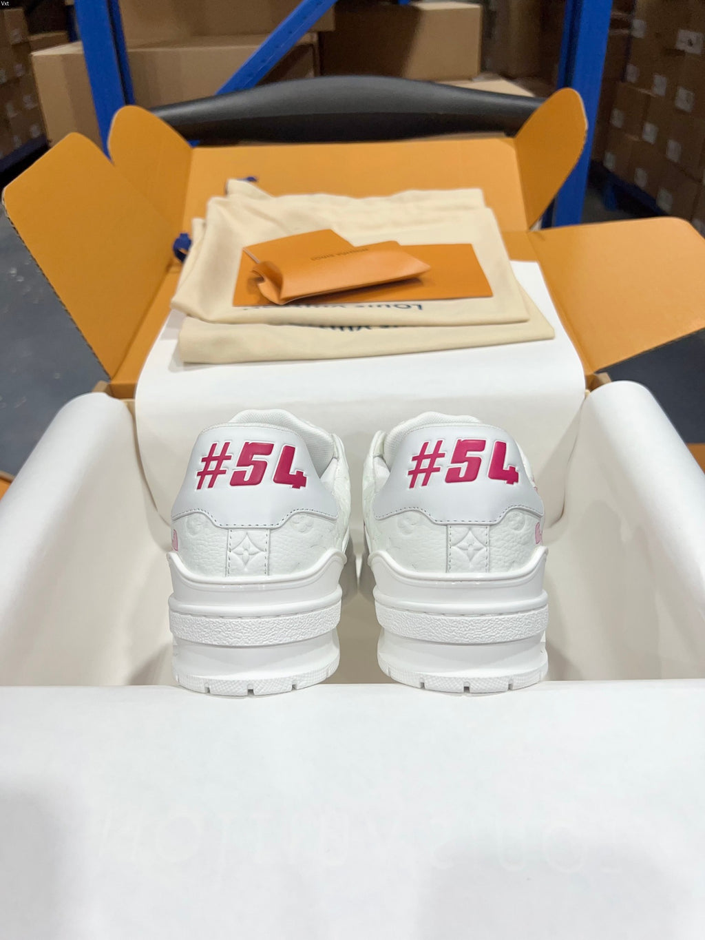 Luxury Shoes Louis Vuitton Trainer
