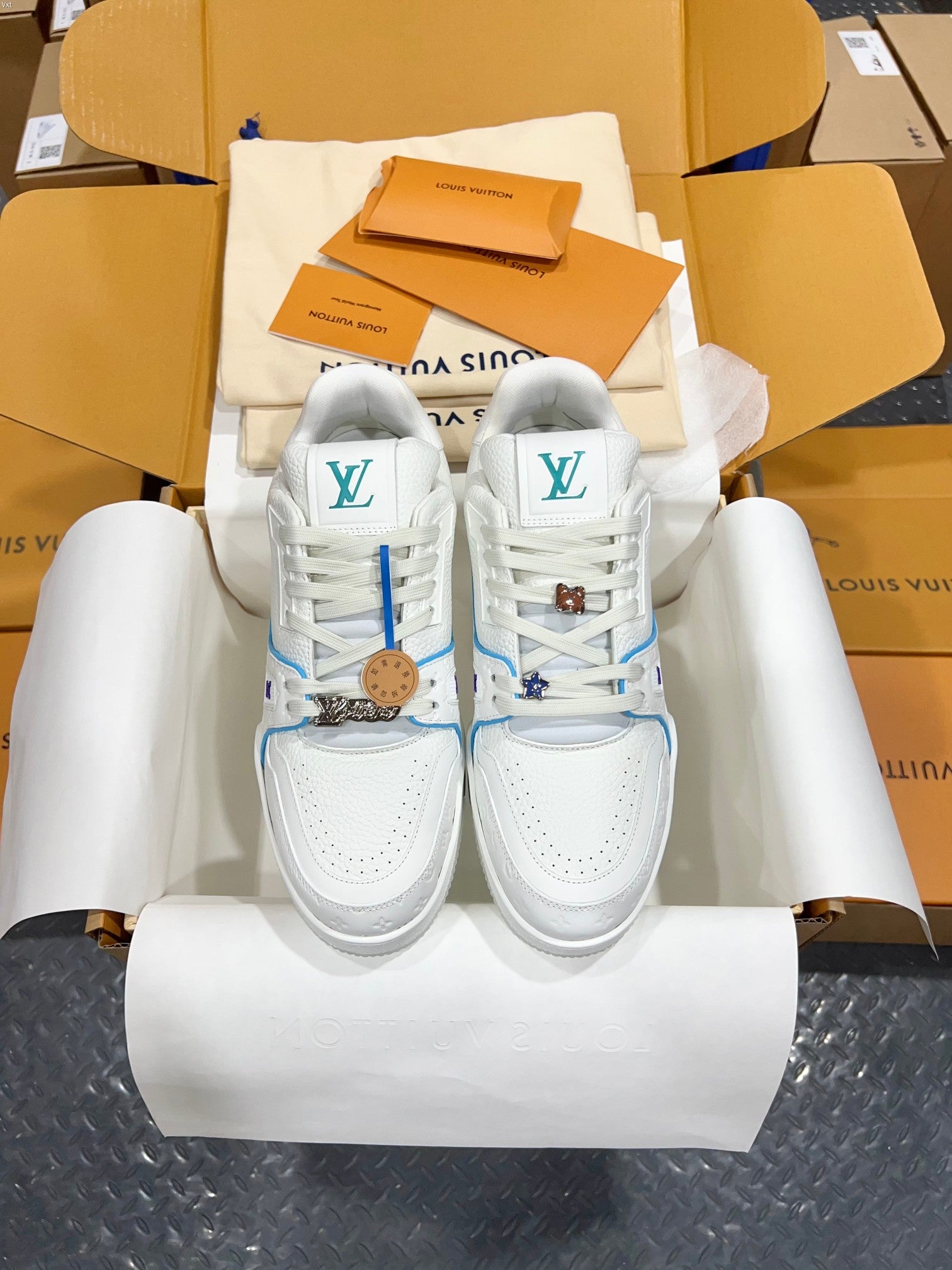 Luxury Shoes Louis Vuitton Trainer