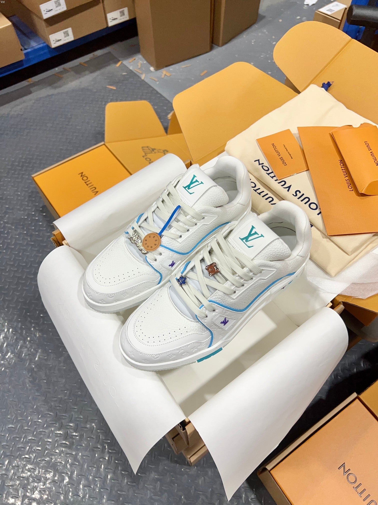 Luxury Shoes Louis Vuitton Trainer