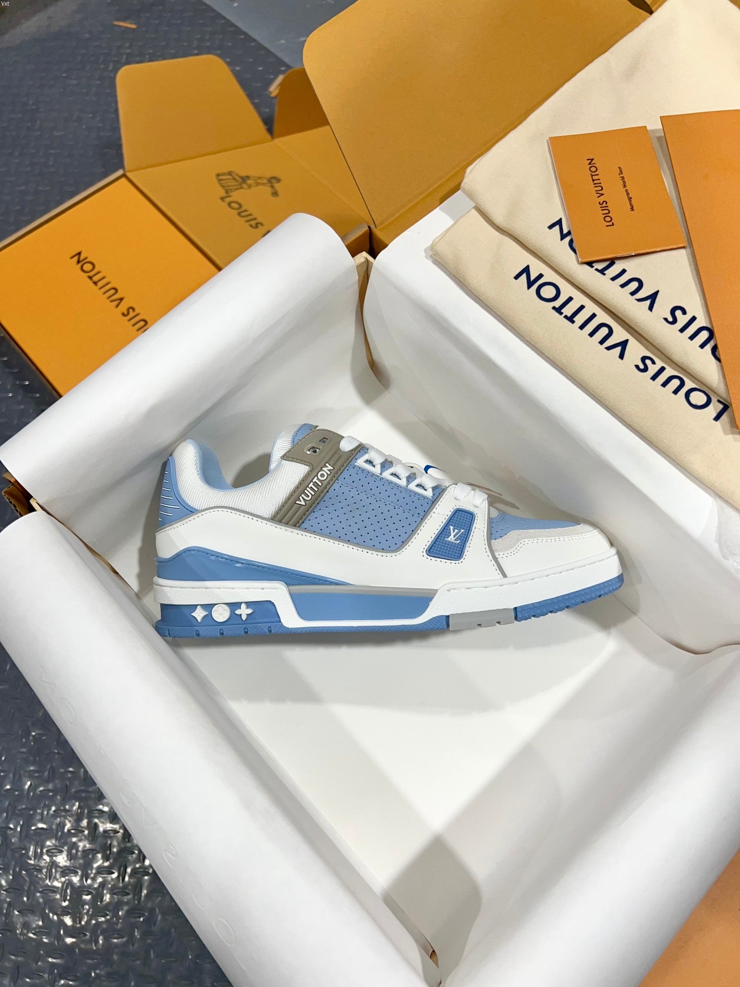 Luxury Shoes Louis Vuitton Trainer