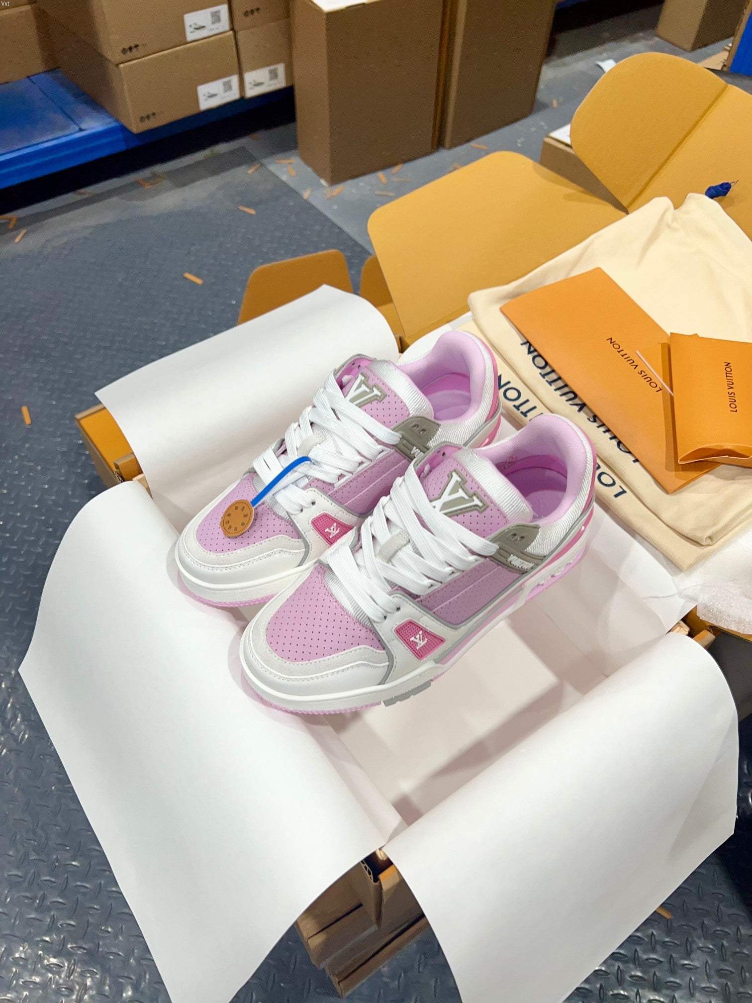 Luxury Shoes Louis Vuitton Trainer