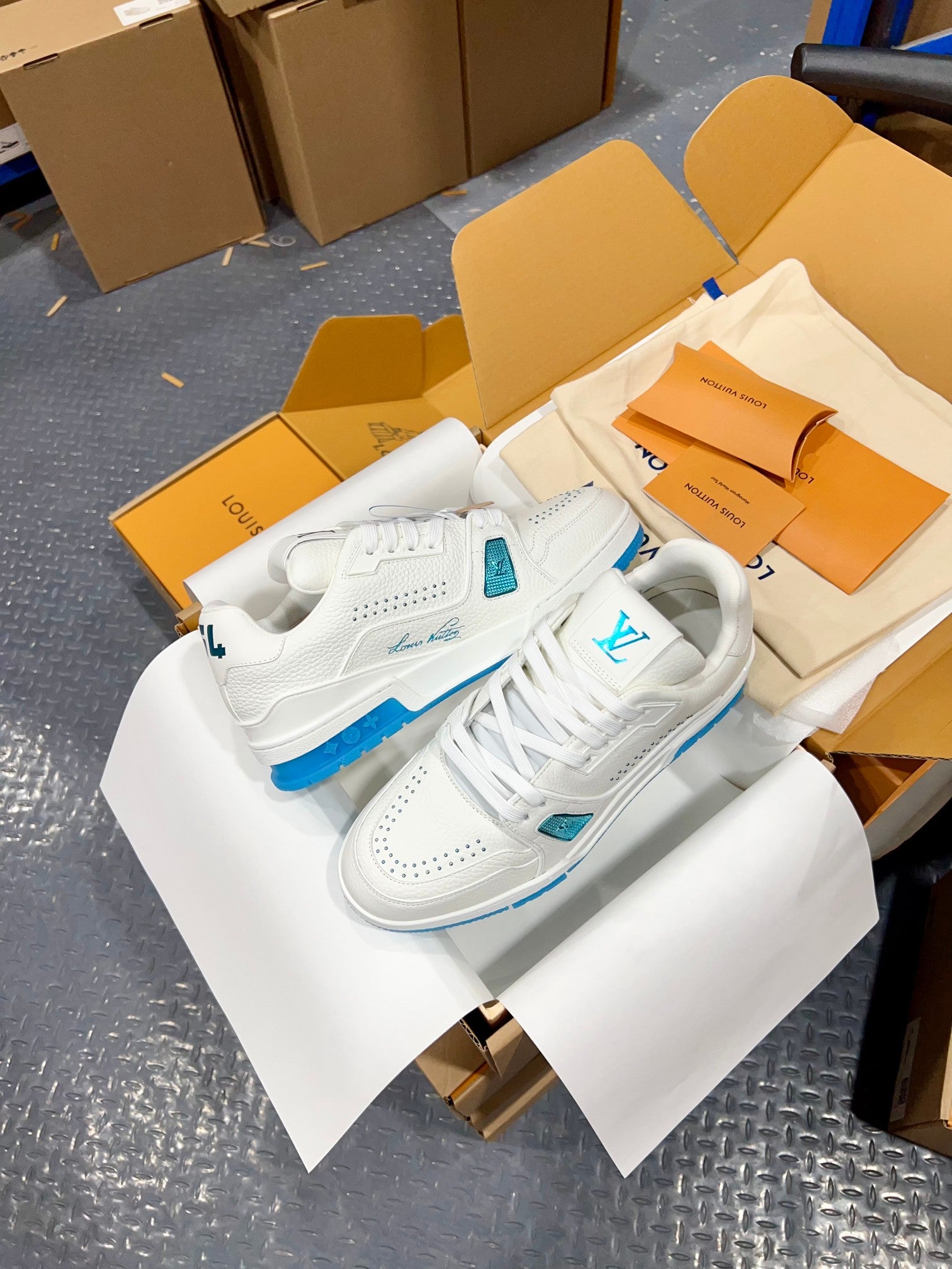 Luxury Shoes Louis Vuitton Trainer