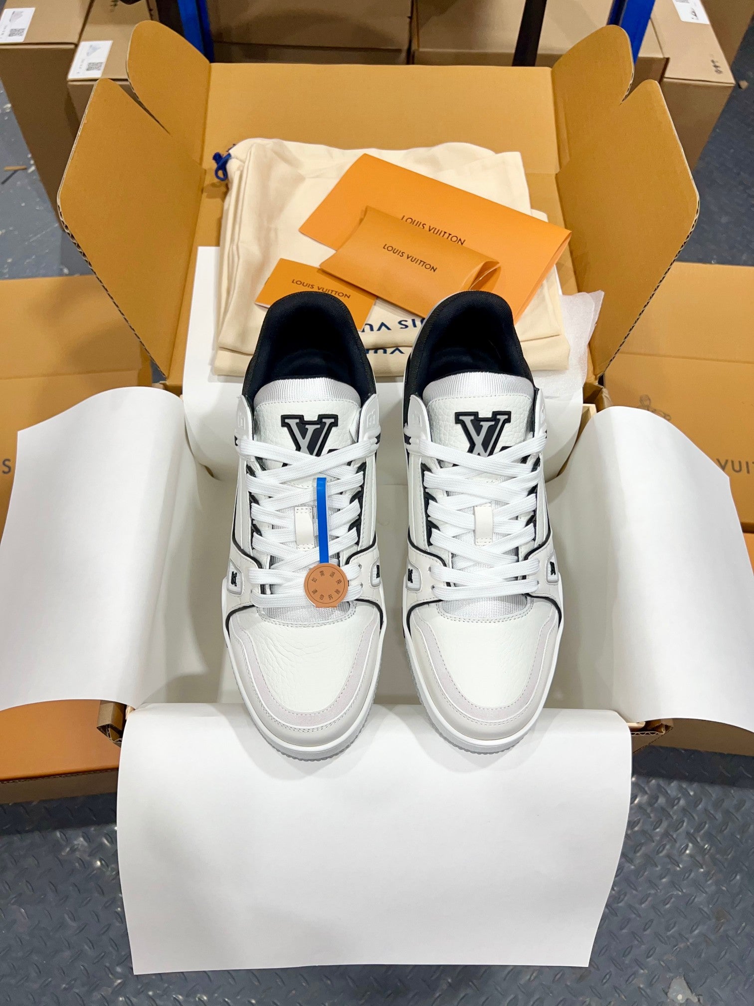 Luxury Shoes Louis Vuitton Trainer
