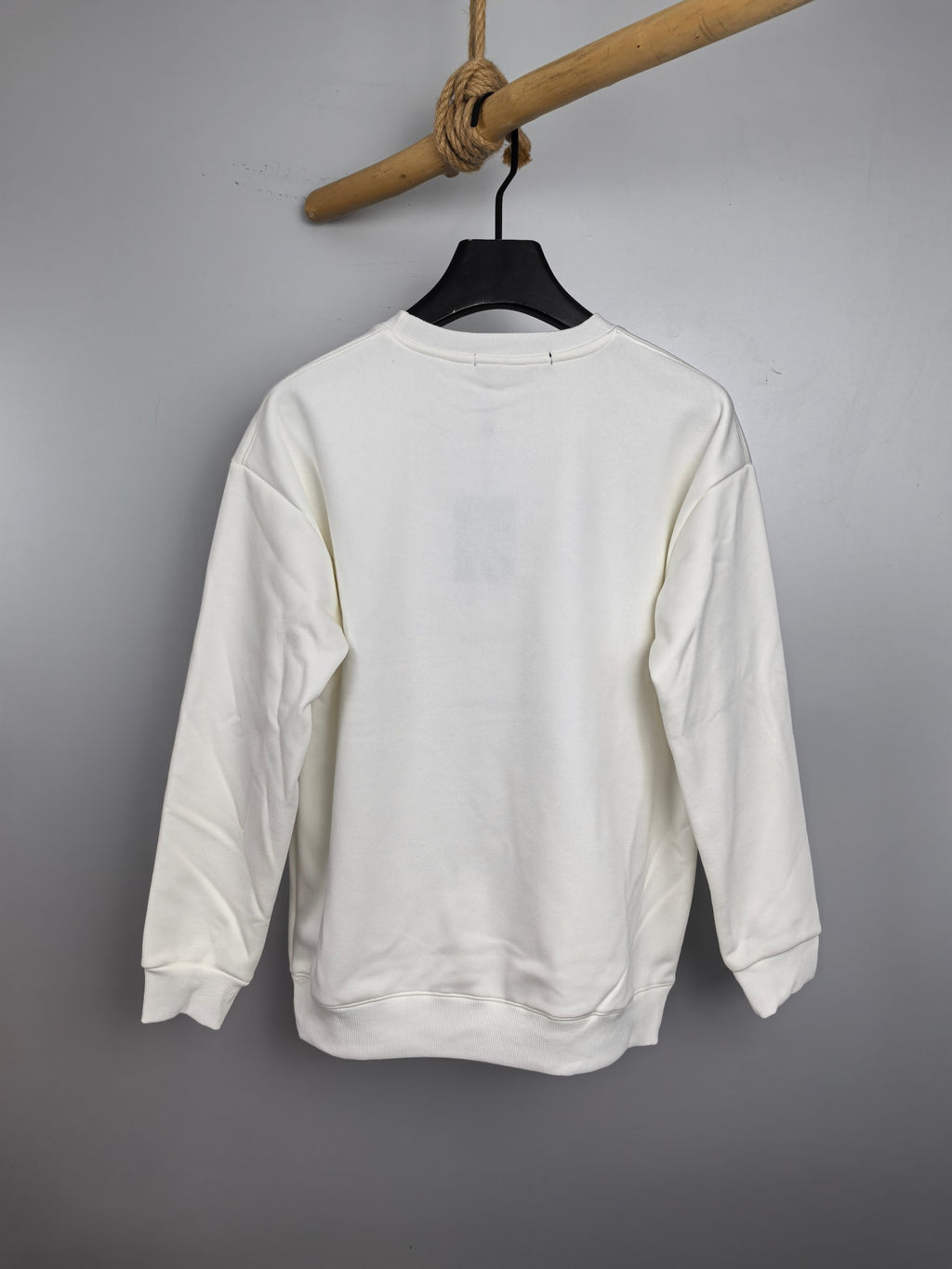 White long-sleeve sweatshirt, back view with clean plain paneling