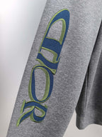 Dior long-sleeve sweatshirt heather gray with large blue-green “Dior” sleeve print
