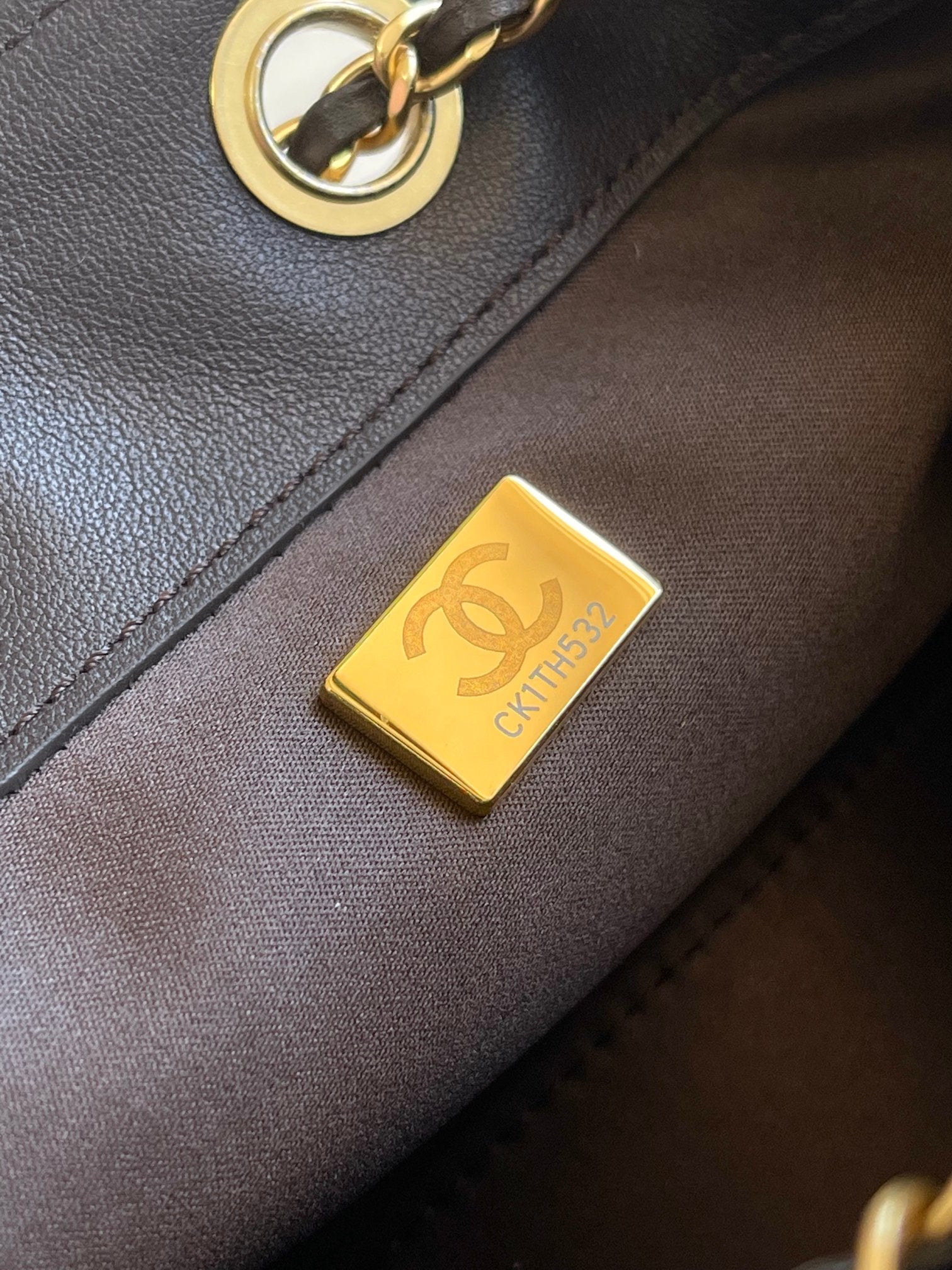 Dark brown bag exterior with gold logo plate and ring hardware